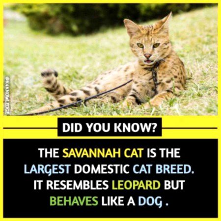 Interesting Posts image