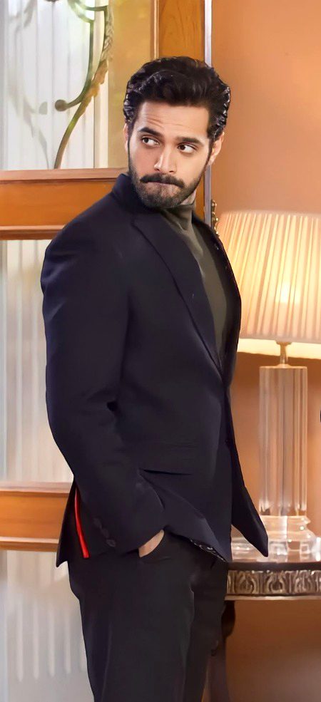 Pakistani Celebs image