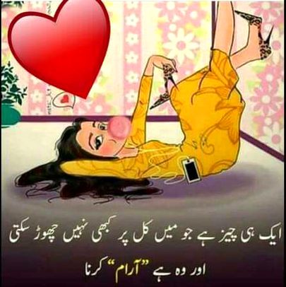 DD Lady,