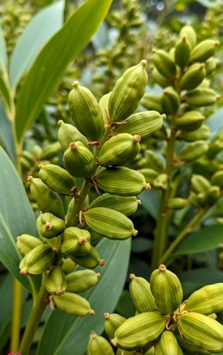 Beautiful Nature image