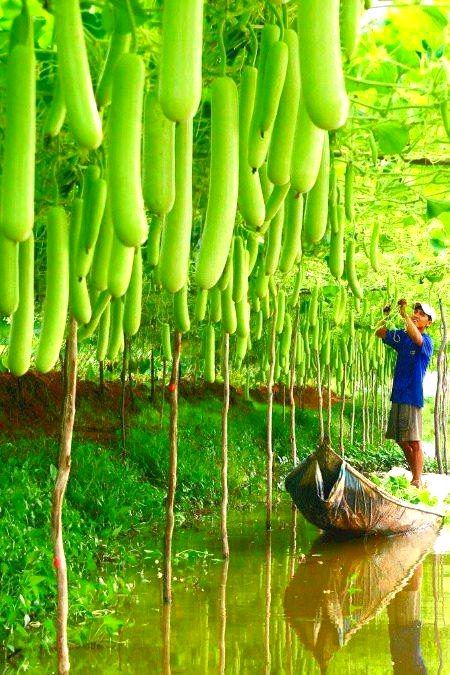 BEAUTIFUL NATURE