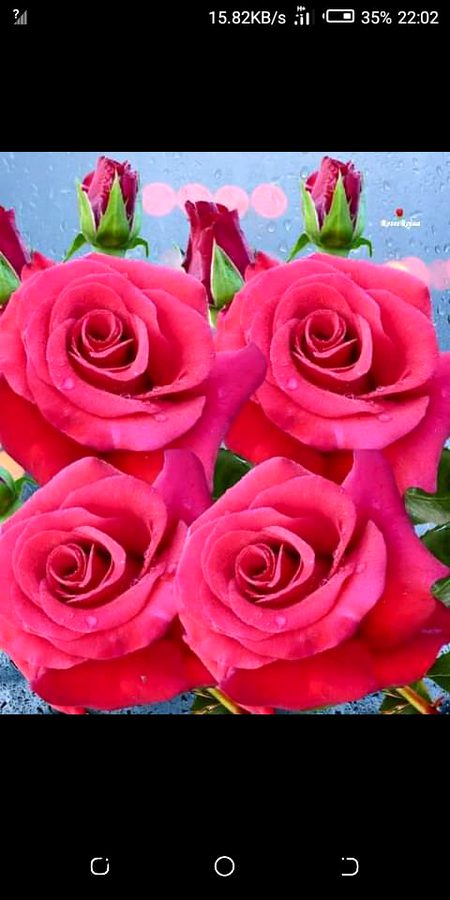 Beautiful Nature image