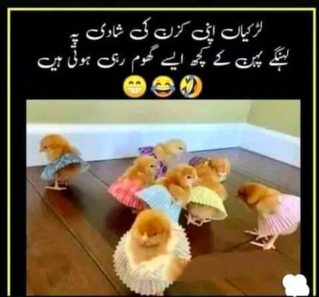 Waoooo phr toa boys murgy bn jaty hn gy