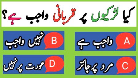 Knowledge Test image