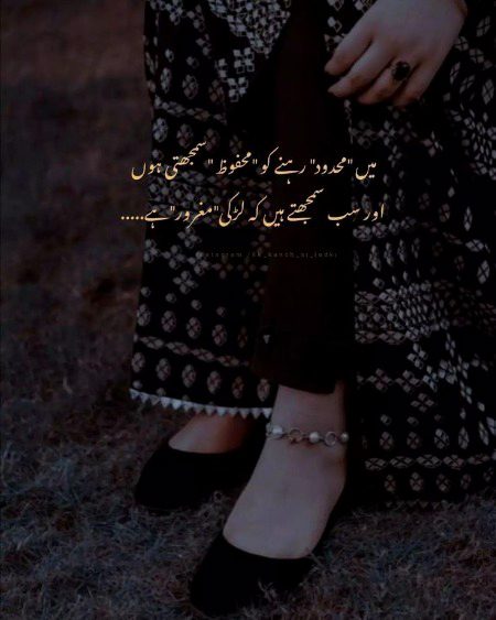 Attitude Quotes image