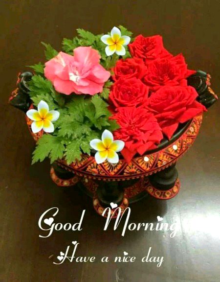 Hello friends how are you