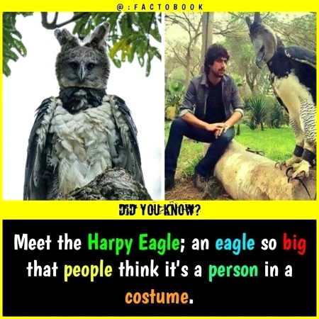 Interesting Posts image