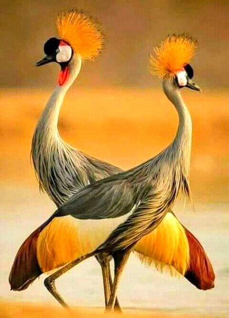 Beautiful Nature image