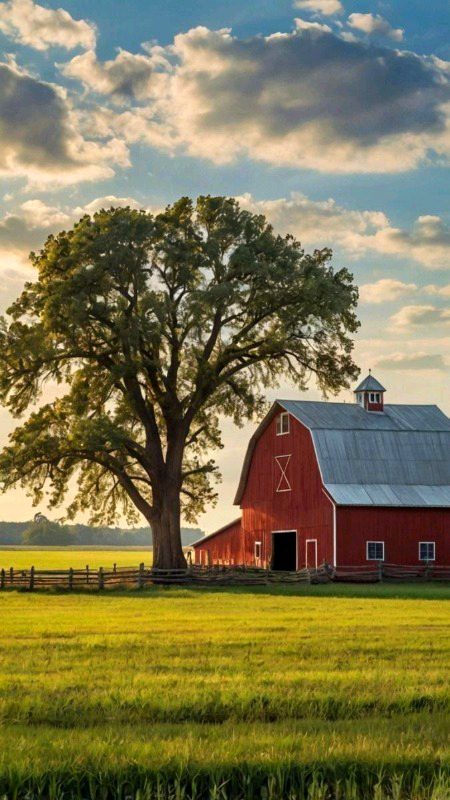 Beautiful Nature image