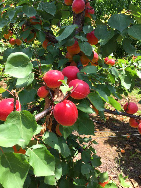 Beautiful Nature image