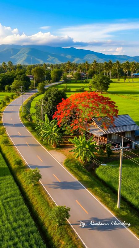 Beautiful Nature image
