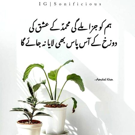 Islamic Quotes image