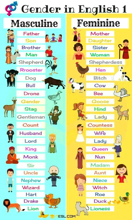 Tips for Students image