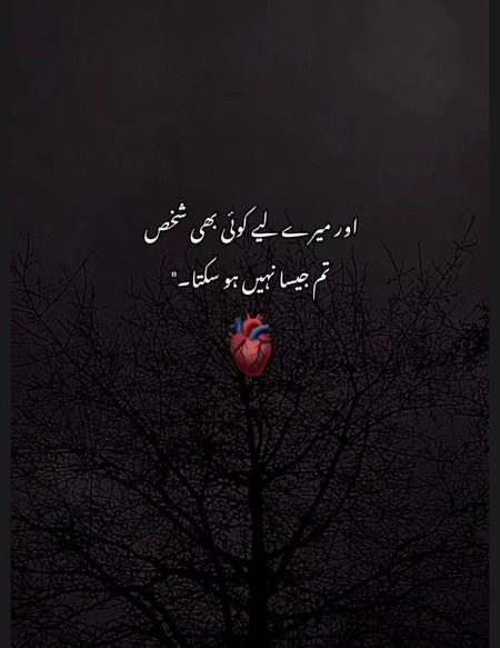 Saanaam ❣️❣️ blkl asi or schi bt h only u my heart ❣️