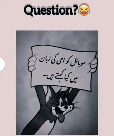 Memes & Satire image