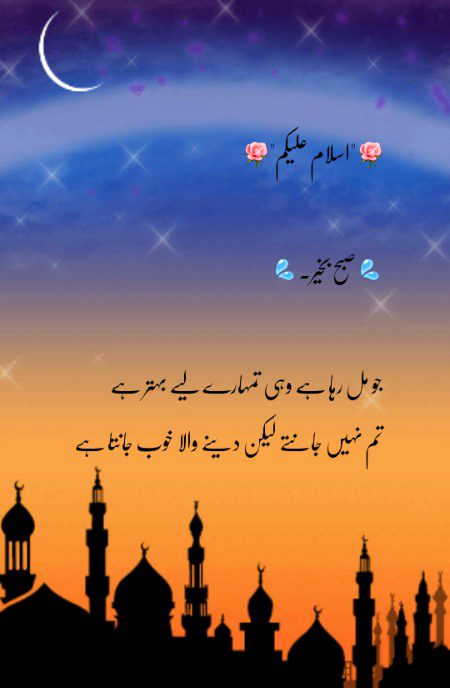 🍁Zoq_Shab🍁