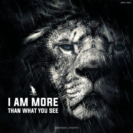 Attitude Quotes image