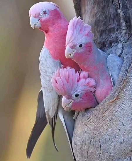 Beautiful Nature image