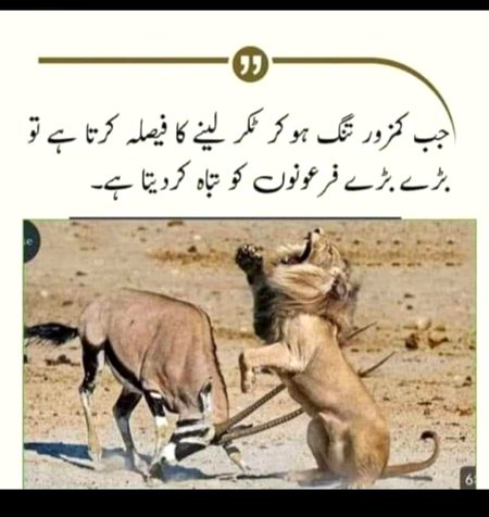 سارے درد مجھے سونپ دیئے 
اتنا اعتبار تھا مجھ پر