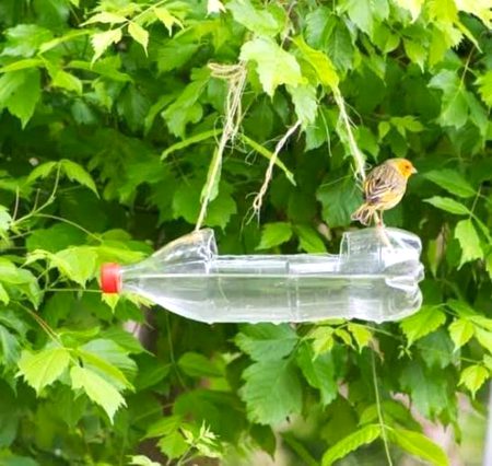 Beautiful Nature image