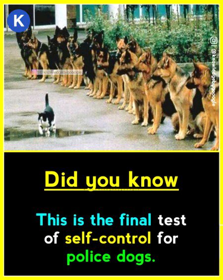 Interesting Posts image