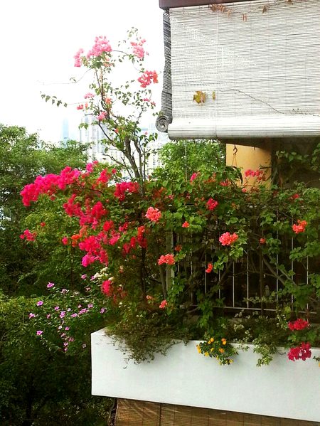 Beautiful Nature image