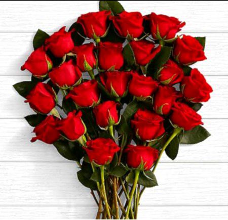 Beautiful 🌹 rose's