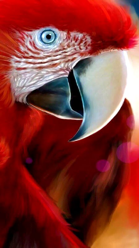 Beautiful Nature image