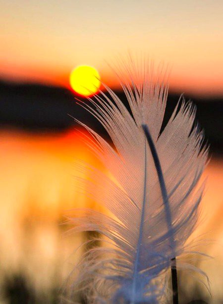 Beautiful Nature image