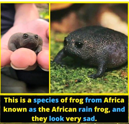 Interesting Posts image