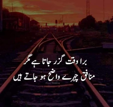 Motivational Quotes image
