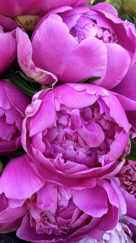 Beautiful Nature image
