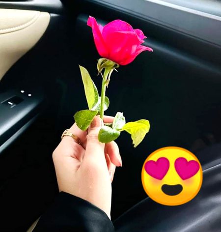 عورت اس حد تک نازک مزاج ہے کہ ایک پُھول اسے راضی اور خُوش کردیتا ہے اور ایک سخت لفظ اسے مارنے کیلئے کافی ہوتا ہے..!🥀
SARKAR 🦋"_