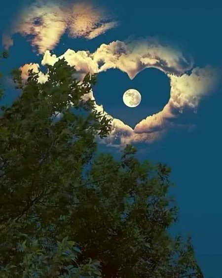 Beautiful Nature image