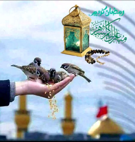 *ہر شخص کی نظر میں کامیاب زندگی گزارنے کا الگ ہی گُر ہی ہوتا ہے میری نظر میں صرف ایک ہی عمل ہے " خدمت "ـــ*
*کیونکہ اس کے نتیجے میں حاصل ہونے والی دعائیں آپ کی تقدیر بدل سکتی ہیں ـ❣️🌙🤲🏻*