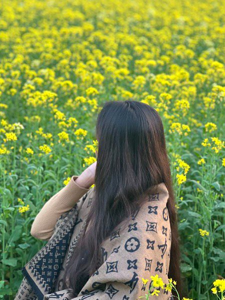 Beautiful Nature image