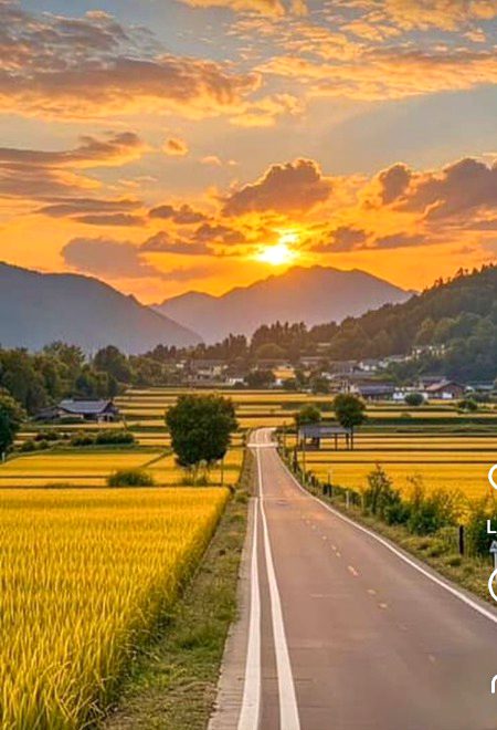 Beautiful Nature image