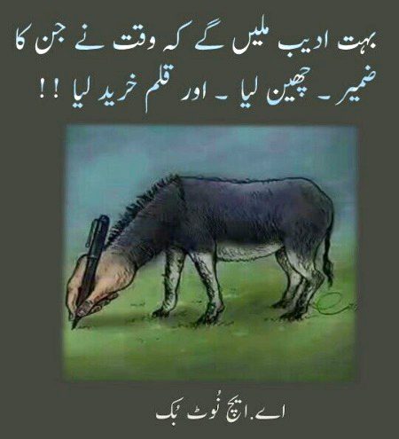 Memes & Satire image