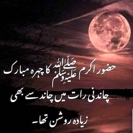 Islamic Quotes image