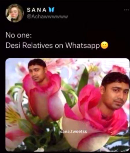 Memes & Satire image