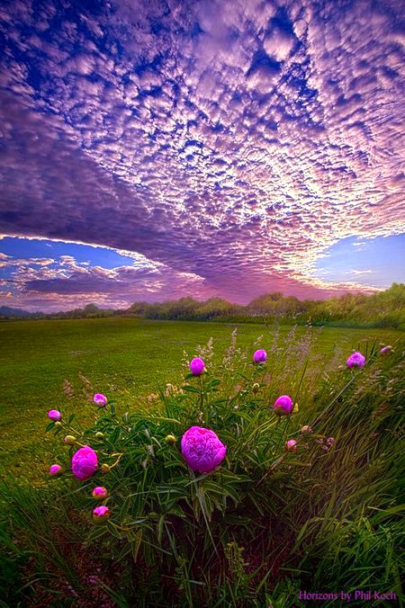 Beautiful Nature image
