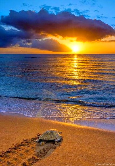 Beautiful Nature image