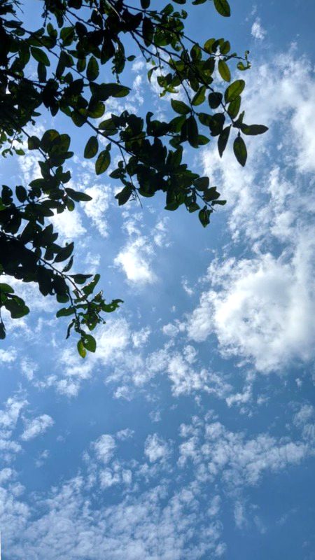 Beautiful Nature image