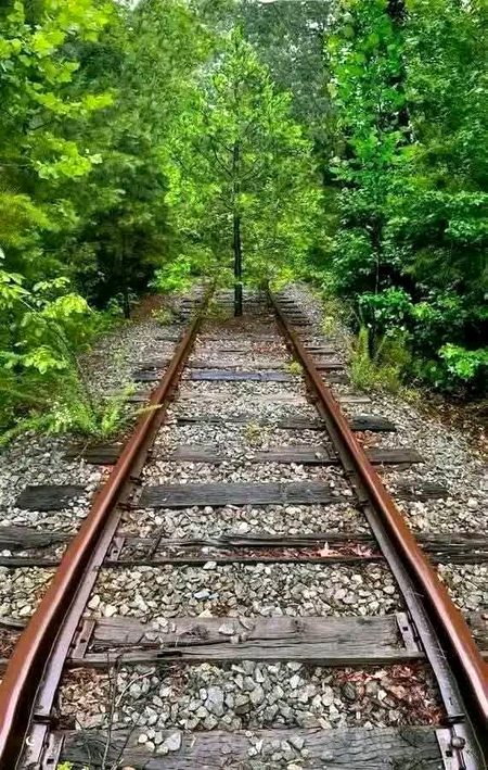 زنگ دماغوں پہ بھی لگتا ہے 
جب لوگ سوچنا چھوڑ دیتے ہیں 
سوچوں پہ بھی لگتا ہے 
جب اظہار کا سلسلہ بند ہو جاتا ہے 
زنگ خواہشوں پہ بھی لگتا ہے 
جب لوگ جینا چھوڑ دیتے ہیں 
روحوں پہ بھی لگتا ہے 
جب احساس اور محبت ختم ہو جاتا ہے 
زنگ مسکراہٹوں پہ بھی لگتا ہے 
جب لوگ گلے ملنا چھوڑ دیتے ہیں 
اور زنگ راستوں پہ بھی لگتا ہے 
جب لوگ ان پر چلنا چھوڑ دیتے ہیں 
طاہر راجپوت