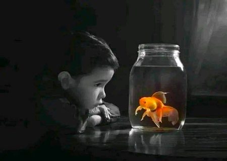 پھر بھی  ذرا سی بات پہ رنجش طویل ہے 
تم تو مرے مزاج سے بھی آشنا تھے نہ _!
🖤