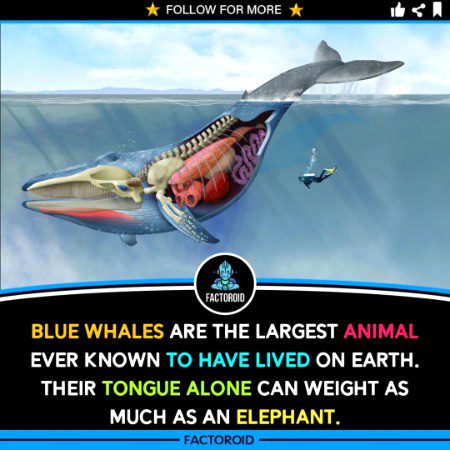 Interesting Posts image