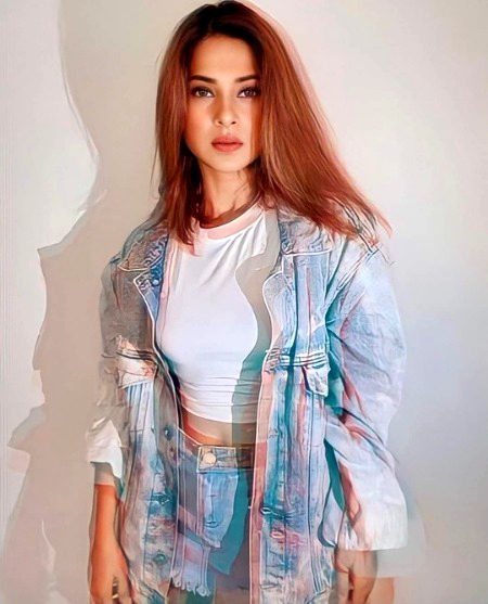 Indian Celebs image
