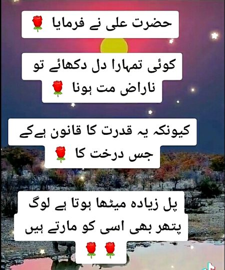 Islamic Quotes image