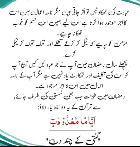 Ginty k chan din