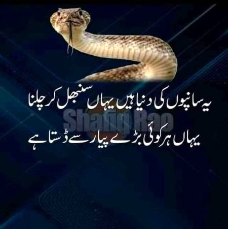 asslam.o.alaikum